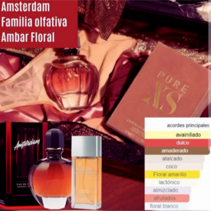 AMSTERDAM Eau de Parfum Femenino 50 ml.